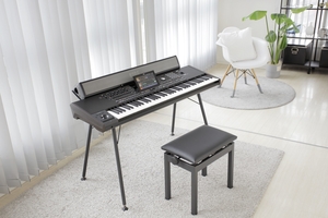  PaAS MK2