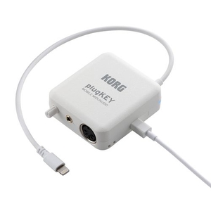 PLUGKEY-WH