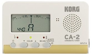  CA2