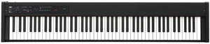  D1-BK